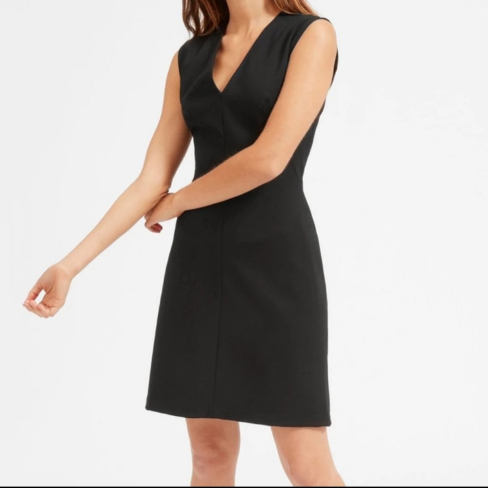 [NWOT] Everlane Sleeveless V-Neck Flare Dress